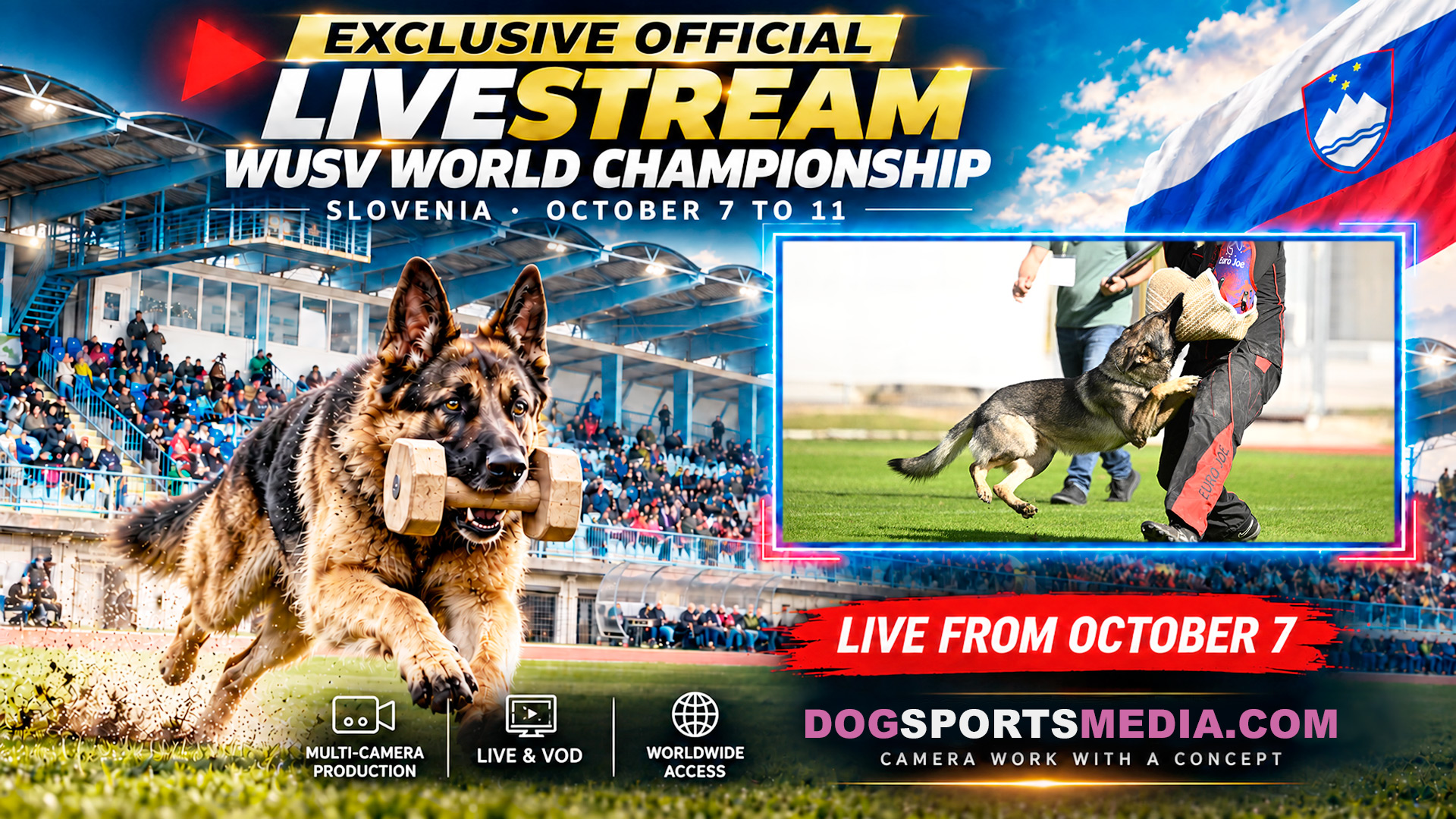 Zum Live-Stream der WUSV WM 2026